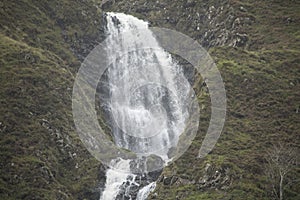 The Greymares Tail