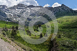 Greys Peak in Eastern Nevada