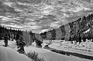 Greys River in Wyoming photo