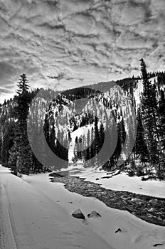 Greys River in Wyoming photo