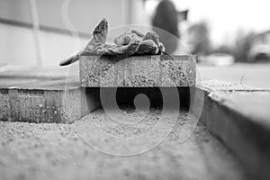 Greyscale image of protecting gloves on a paving brick