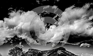 Greyscale of rocks and trees under a cloudy sky and sunlight at daytime - cool for backgrounds