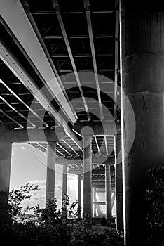 Greyscale shot of the Arthur Ravenel Jr Bridge from under in Charleston, Mount Pleasant