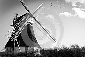 Greyscale shot of the beautiful windmill captured in Meijo Park in Nagoya, Japan