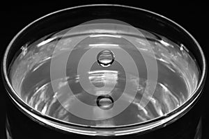 Greyscale shot of a glass of water with a crystal water drop