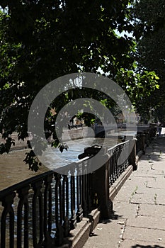 Griboyedov canal fencing