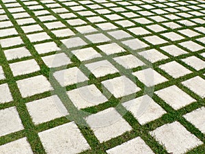 Grid of grass and paving stones