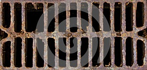 Grid manhole cover