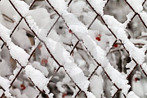 The grid of metal slabs is covered with snow.