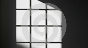 Window with grid pattern, sunlight, monochrome, black and white
