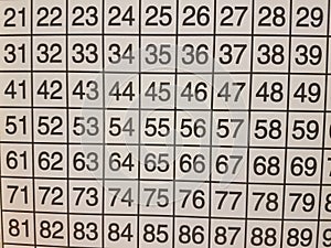 Grid with two digit numbers