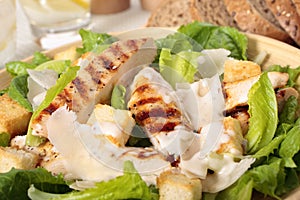 Griddled chicken caesar salad
