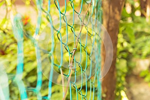 Grids wire green fence with bokeh