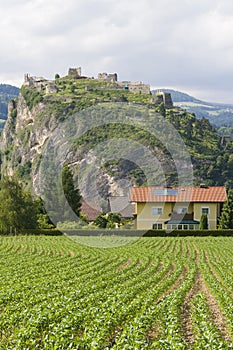 Griffen castle on the cliff