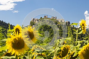 Griffen ruins in Carinthia region, Austria photo