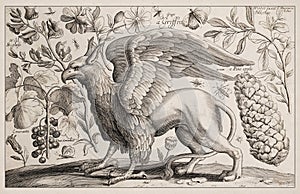 Griffin. Antique mythical creature ilustration photo