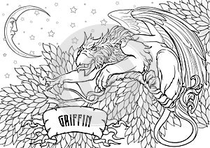 Griffin, griffon, or gryphon on grunge background. photo