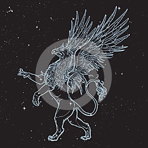 Griffin, griffon, or gryphon on nightsky background. photo