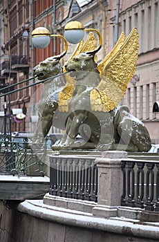 Griffins on the Bank bridge. Saint-Petersburg