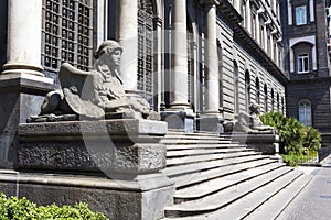 Griffins guarding the stairs that lead to Physics Museum photo