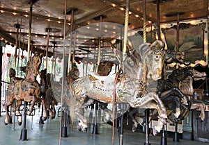 Griffith Park carousel horse on a merry go round