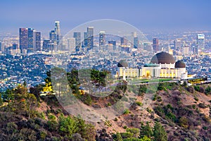 Griffith Park LA Skyline