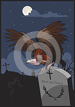 Griffon Vulture sits on a Tombstone