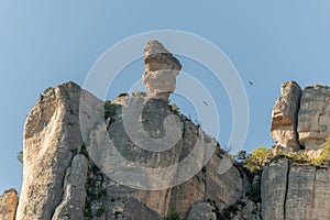 Griffon vultures in flight above the ledge of the Jonte Gorges