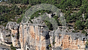 Griffon vultures, Gyps fulvus flying around the Serrania de Cuenca at UÃ±a, Spain.