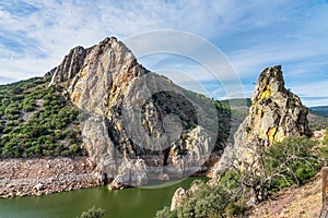 Griffon vultures, Gyps fulvus in Monfrague National Park. Extremadura, Spain photo