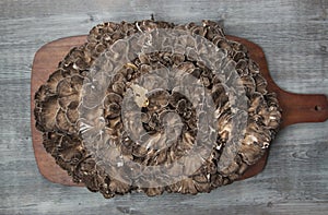 Grifola frondosa on a wooden board