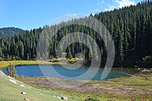 Grigorievskoe gorge landscape. Kyrgyzstan