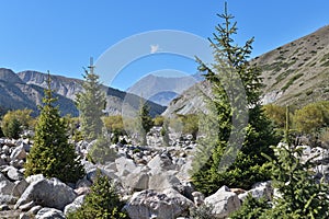 Grigorievskoe gorge landscape. Kyrgyzstan