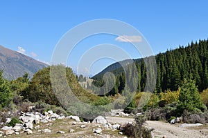 Grigorievskoe gorge landscape. Kyrgyzstan