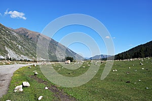 Grigorievskoe gorge landscape. Kyrgyzstan