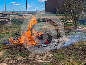 Grill of calsots on fire. La calsotada is a gastronomic festival typical of Valls, Tarragona, Spain photo