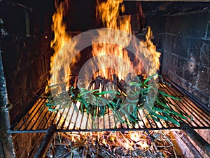 Grill of calÃ§ots on fire.  La calÃ§otada is a gastronomic festival typical of the western region of Valls