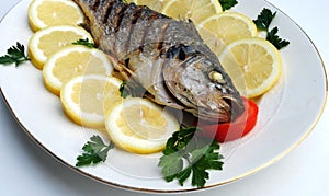 Grill cooked fish with lemon slices photo