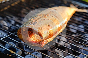 Grill fish fire mackerel food,  barbecue photo