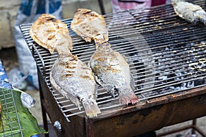 Grill fish at the food market in Thailand