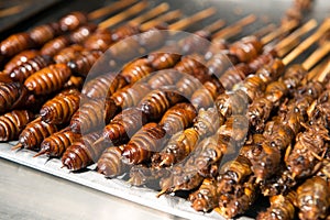 Grill and fried silkworm pupae on stick photo