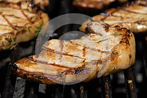 Grill marked pork chop