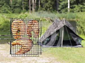 grill red fish on a picnic