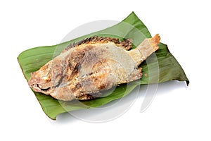 Grill salted fish isolated on white background