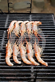 grill with several large shrimp on top of it on the grill