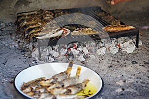 Grilled fish prepared photo