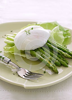 Grilled asparagus with poached egg