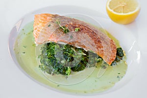 Grilled atlantic salmon fillet