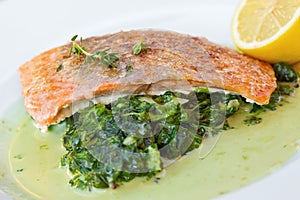 Grilled atlantic salmon fillet