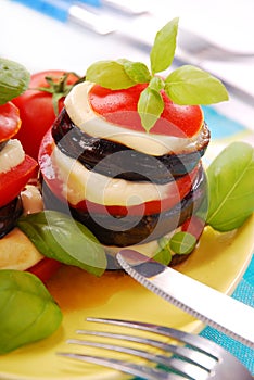 Grilled aubergine with tomato and mozzarella